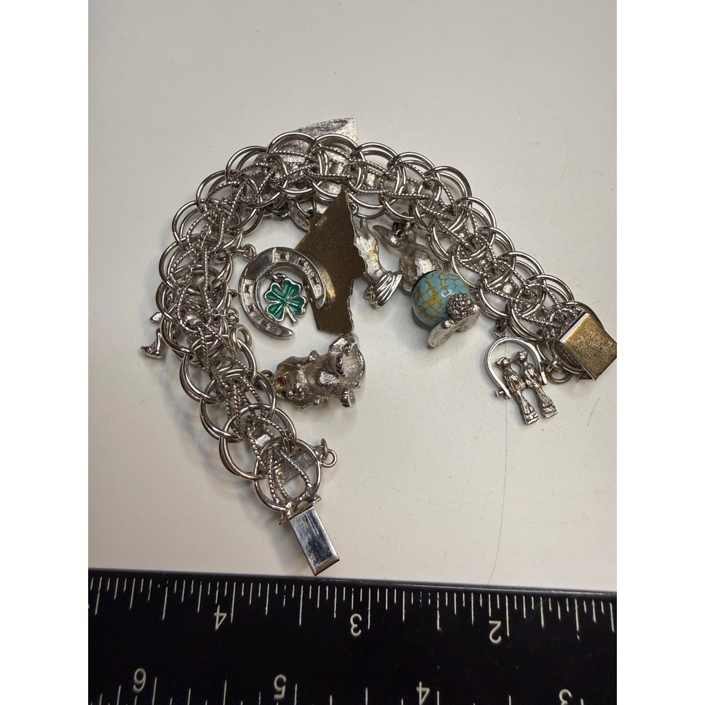 Monet Silver Tone Charm Bracelet Glacier National Park Horseshoe Dog Heart 7.5"